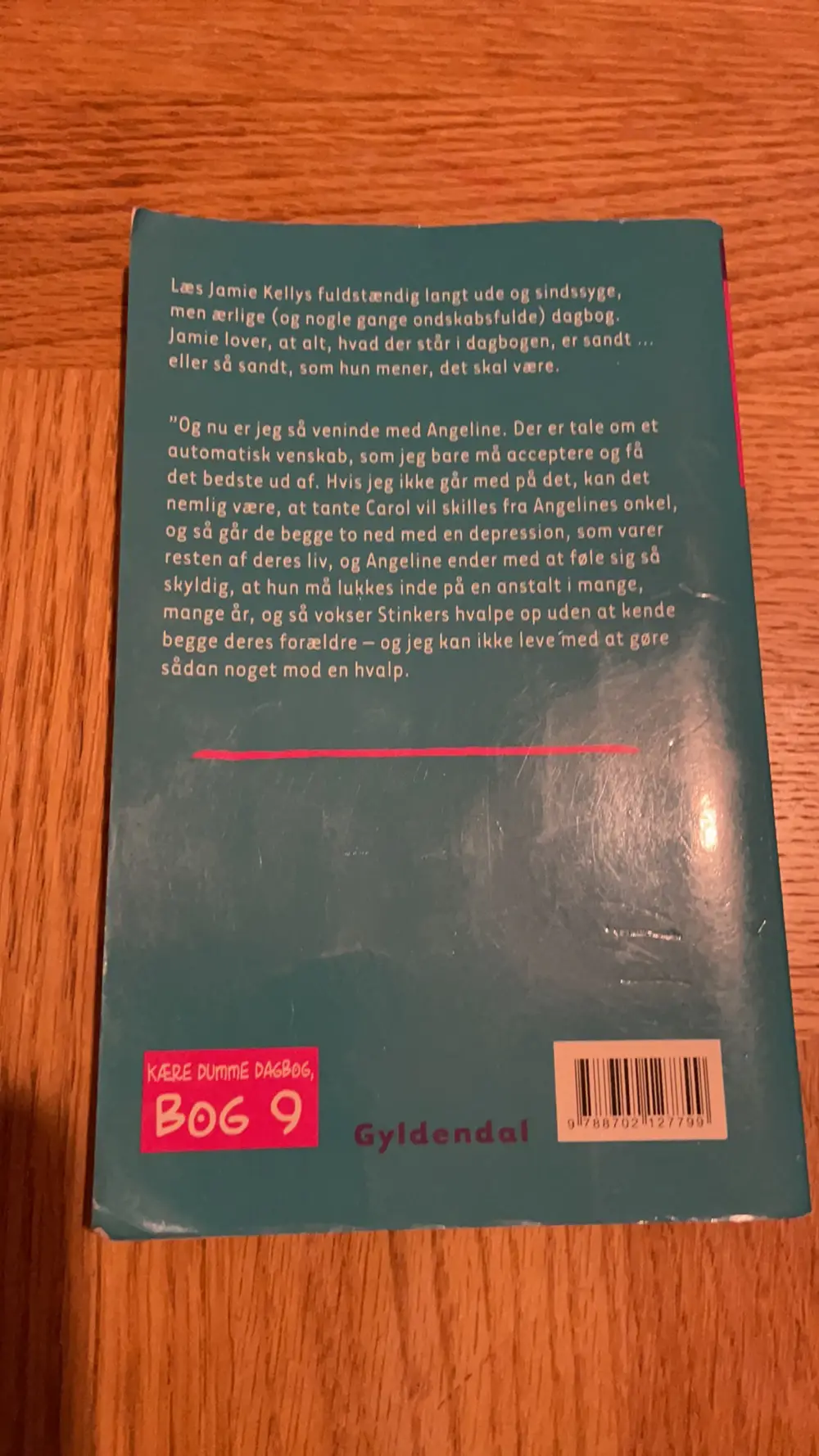 Køb Dumme dagbog Bog af Anne på Reshopper · Shop secondhand til mor og bolig